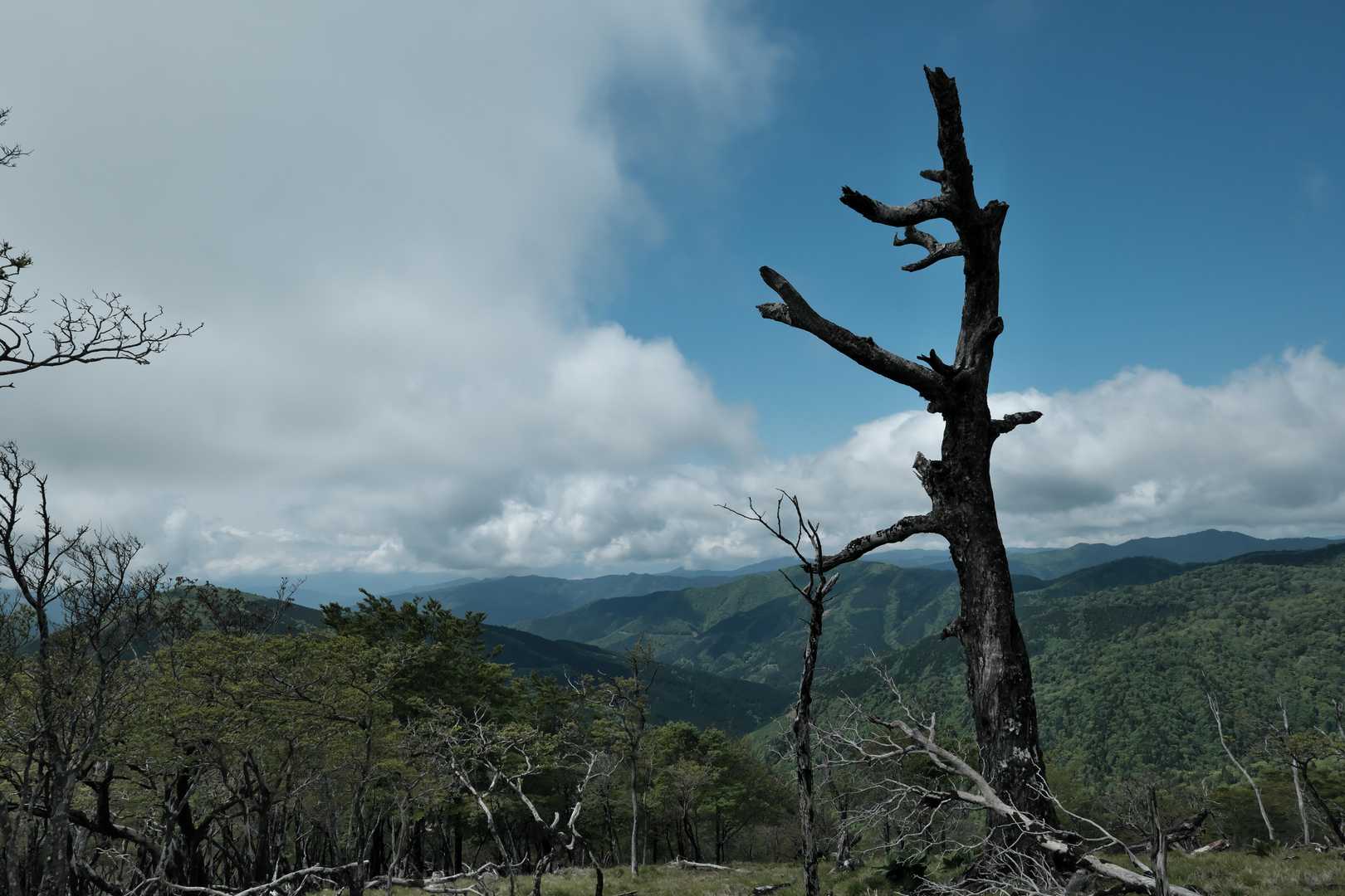 脊梁山脈の南側②