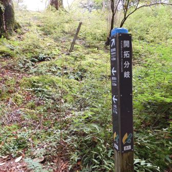 開拓分岐
この辺りがこの日の最低のコルらしい