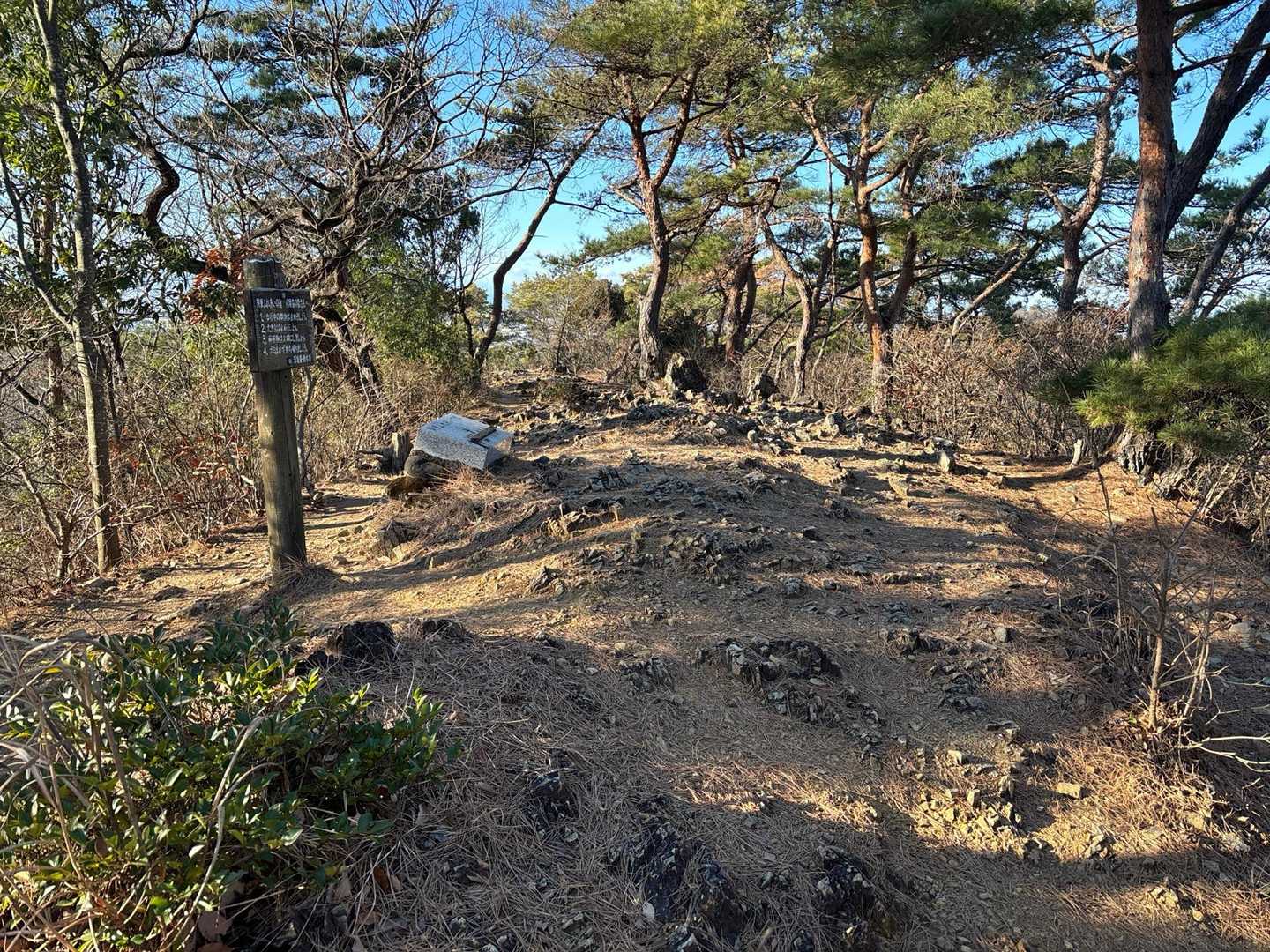 織姫神社登山口-鏡山 往復コースの写真