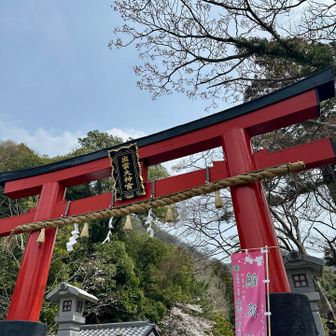 番外編　出雲大神宮⛩️
縁結びの神様らしい🫶