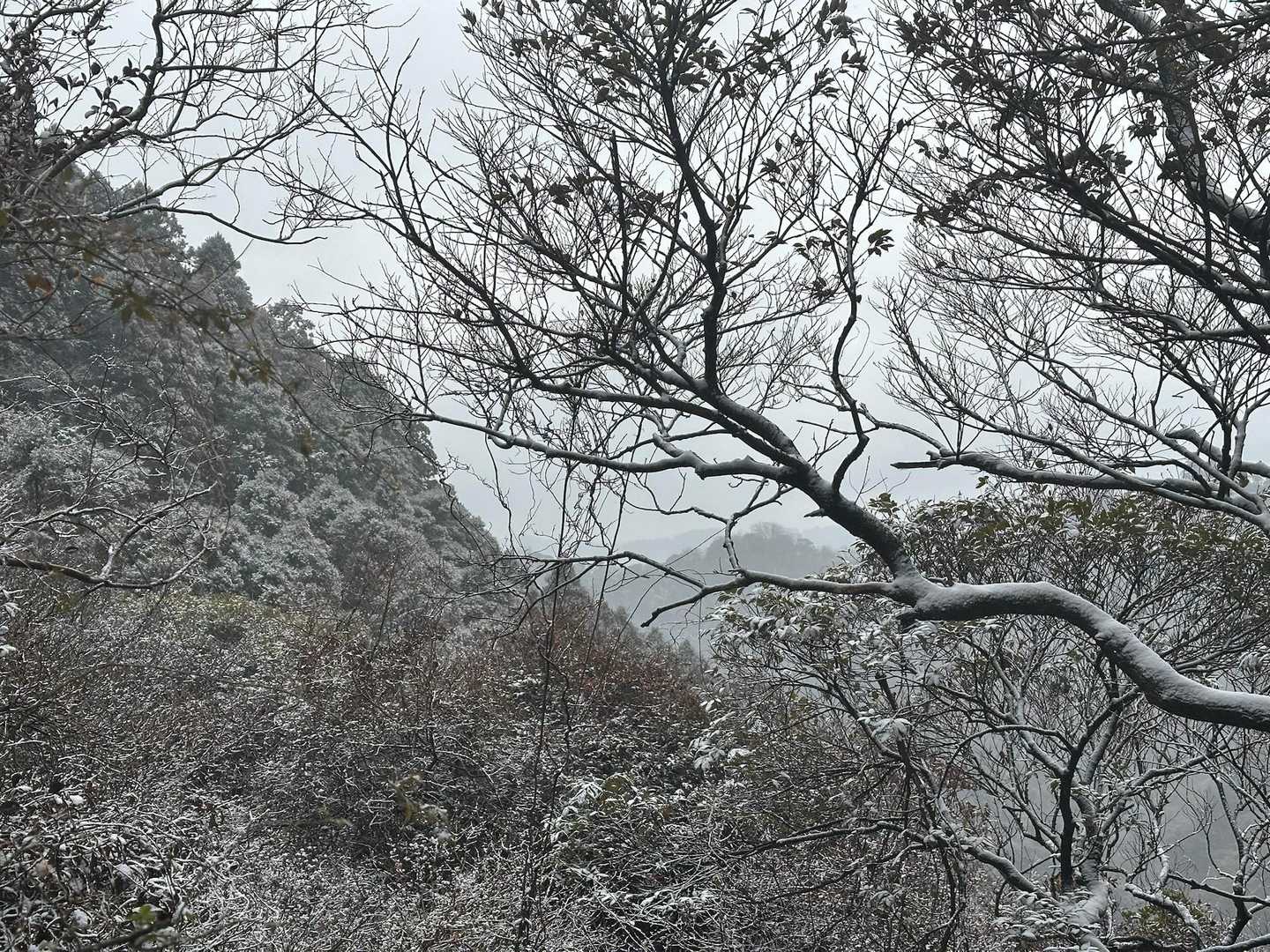 三浦半島で雪を見るとは思わなかったな〜