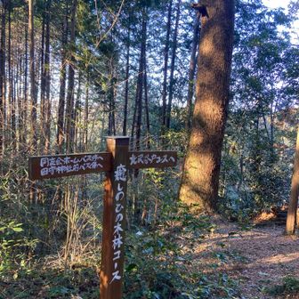 山頂標識はとくになく、ハイカーとも会わず