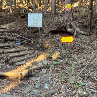 二ノ塔までは登りが続く💪