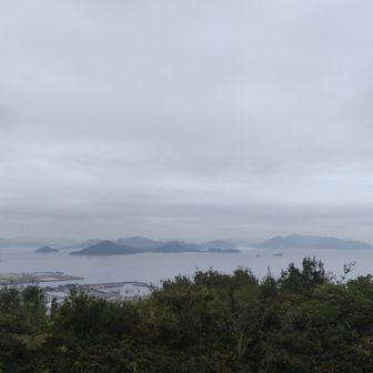 意外と見える
