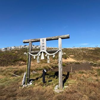 お虎が池はほぼ枯れていました💦鳥居が印象的⛩️