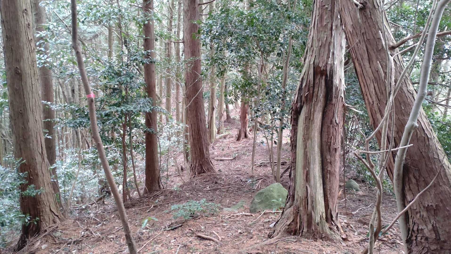 宇土口弘法大師堂-蛇谷山 登山口-蛇谷山 往復コースの写真