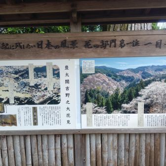 一目千本の地