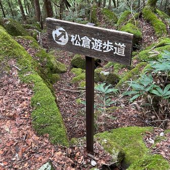 🌳松倉遊歩道🌲