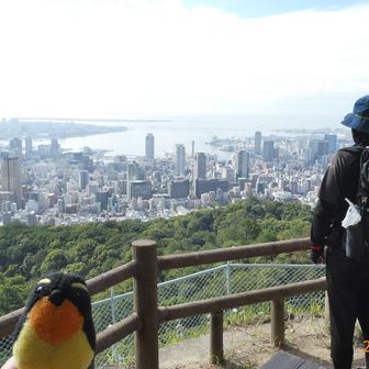 市章山です。
少し登っただけですが、イイ景色です🙂