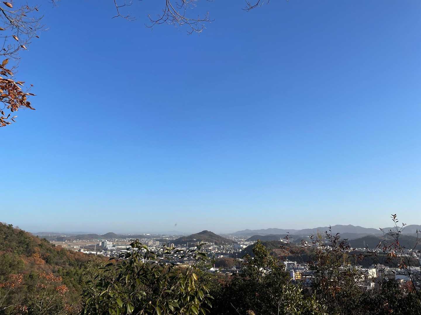 山王山 往復コースの写真