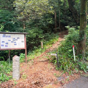 ここから入る