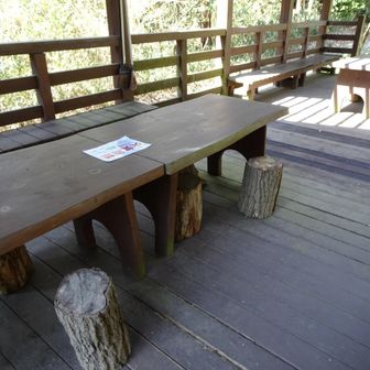 ベンチあるし、移動式丸太椅子もあり。ここまであるのは凄い。