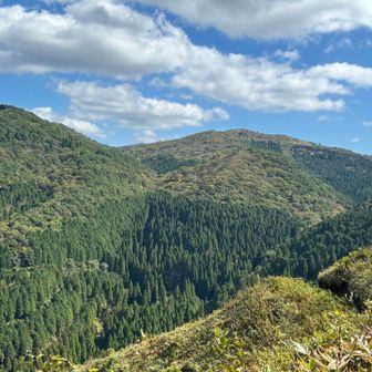 星山はあの峰の向こうかな。昼食を済ませ下山します。