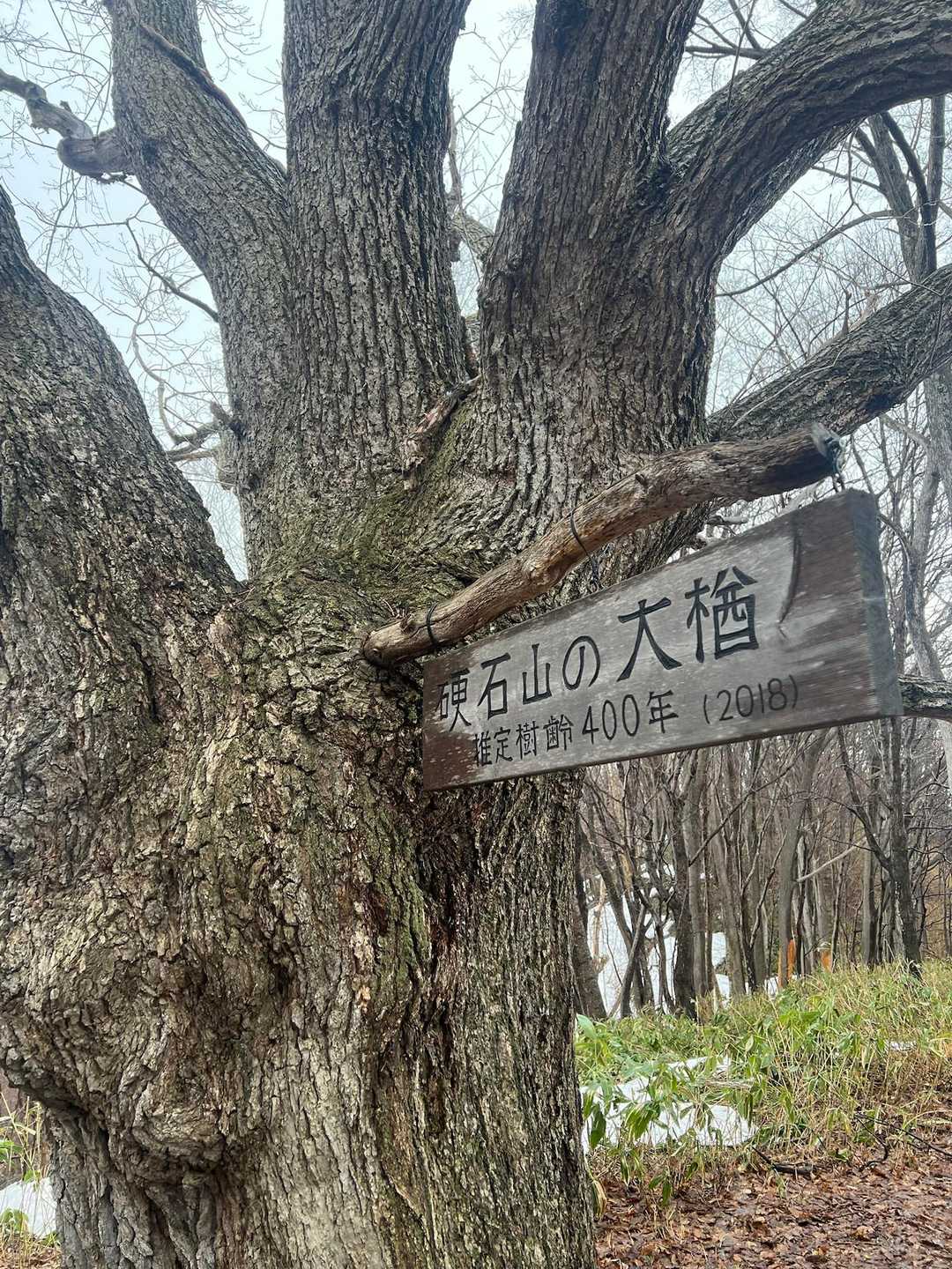 硬石山 周回コースの写真