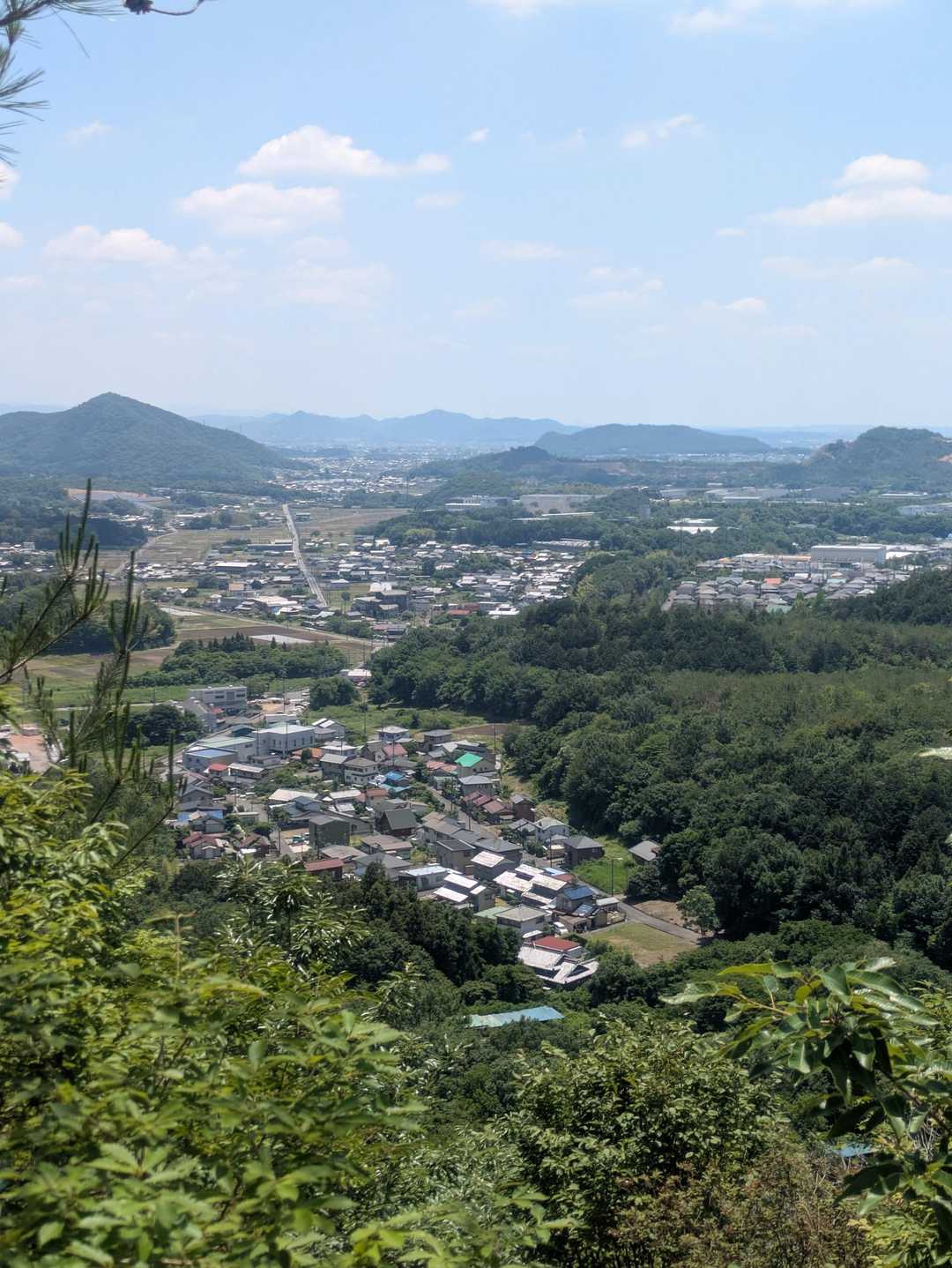 芥見権現山-願成寺山 周回コースの写真
