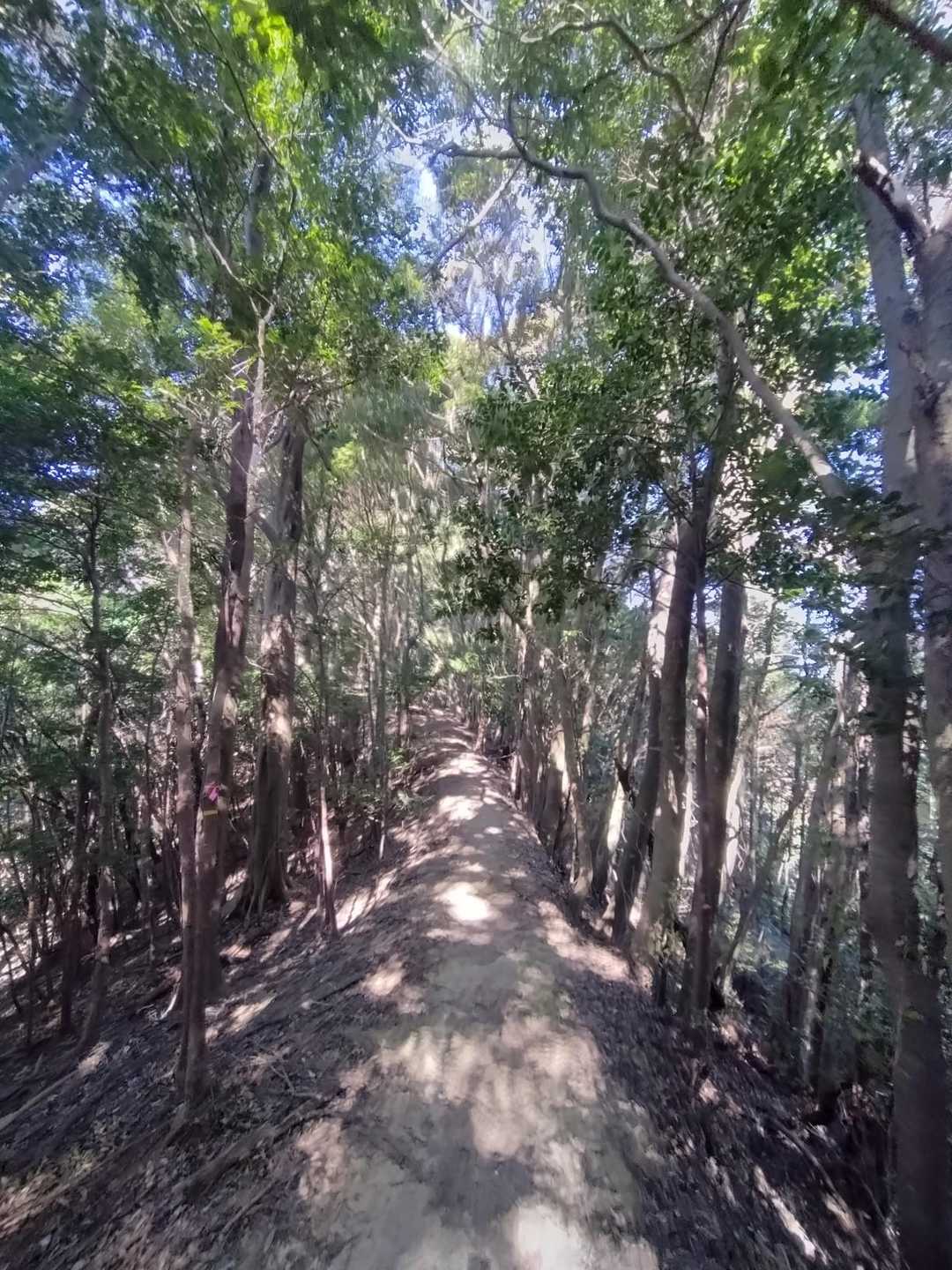 気持ち良い道