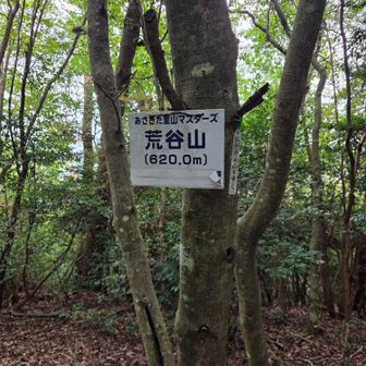 荒谷山の山頂🙋