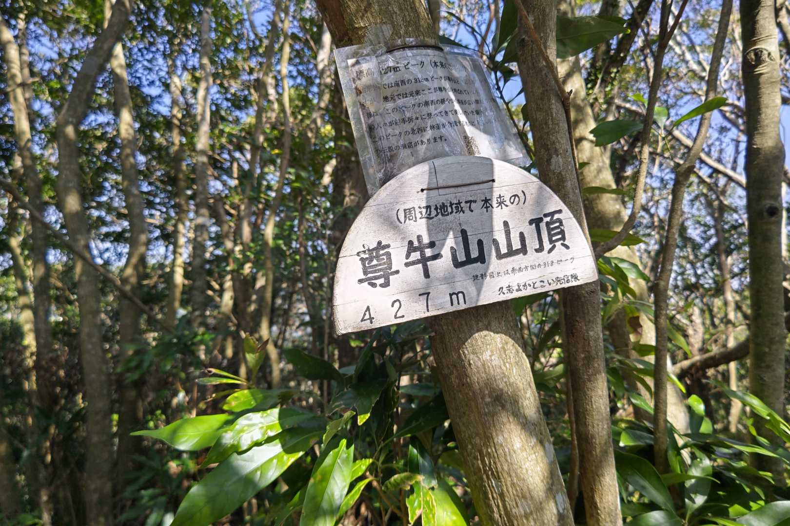 急に山頂現れます😳
ここが慣れ親しんだ、もともとの尊牛山の山頂🤗