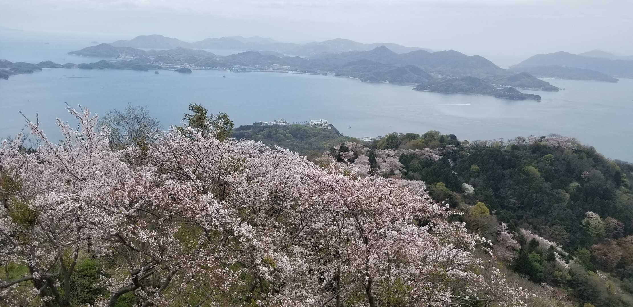 積善山の写真