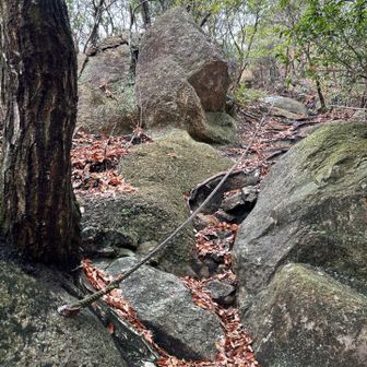 城山周辺は岩が多かったです