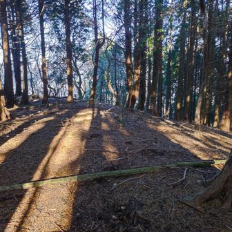 頂上付近は平な場所。