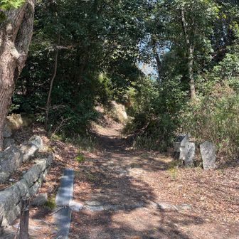 ここに出てきました。