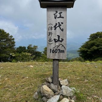 江代山(津野岳)
標高1,607mに
到着。