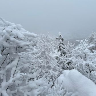 雪景色見たかったのですが、朝はガスガスでした。