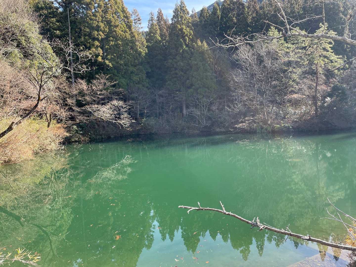 毛鹿洞池