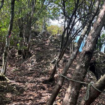 金石山最後の急登。