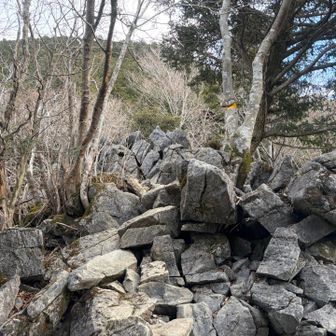 岩のとこ

いつもどこから行こうかなってならない？