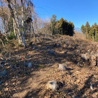 林道から山道に入ります‼️
近くに駐車場はなさそうです🤔