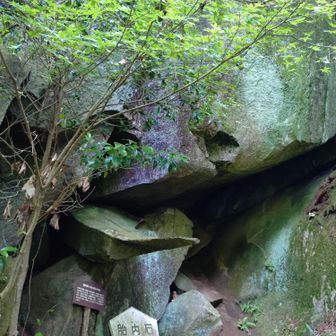 胎内石