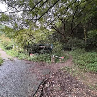 結果的に左側の方が近道でした