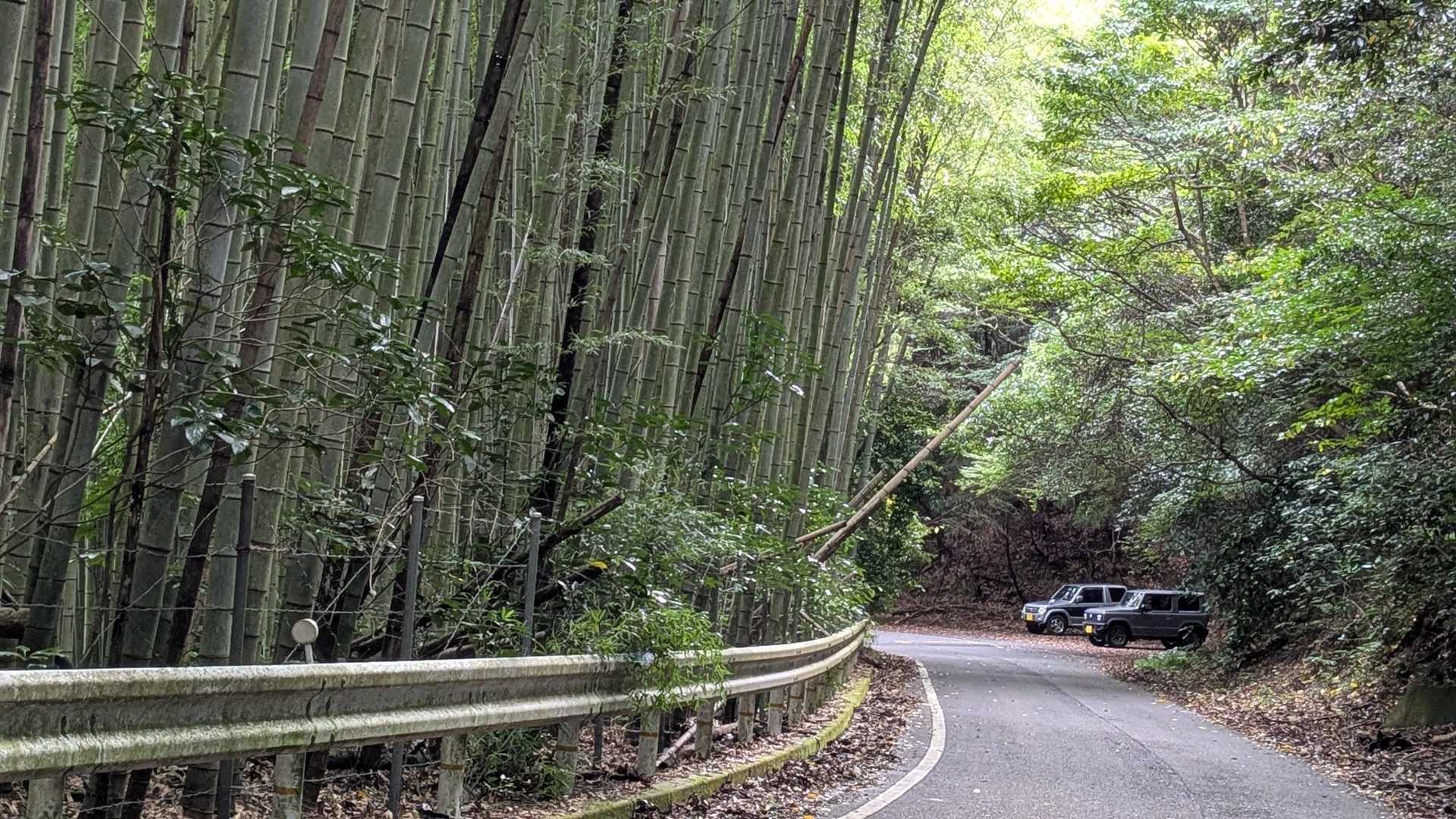 🅿️２台に成ってます🚙。