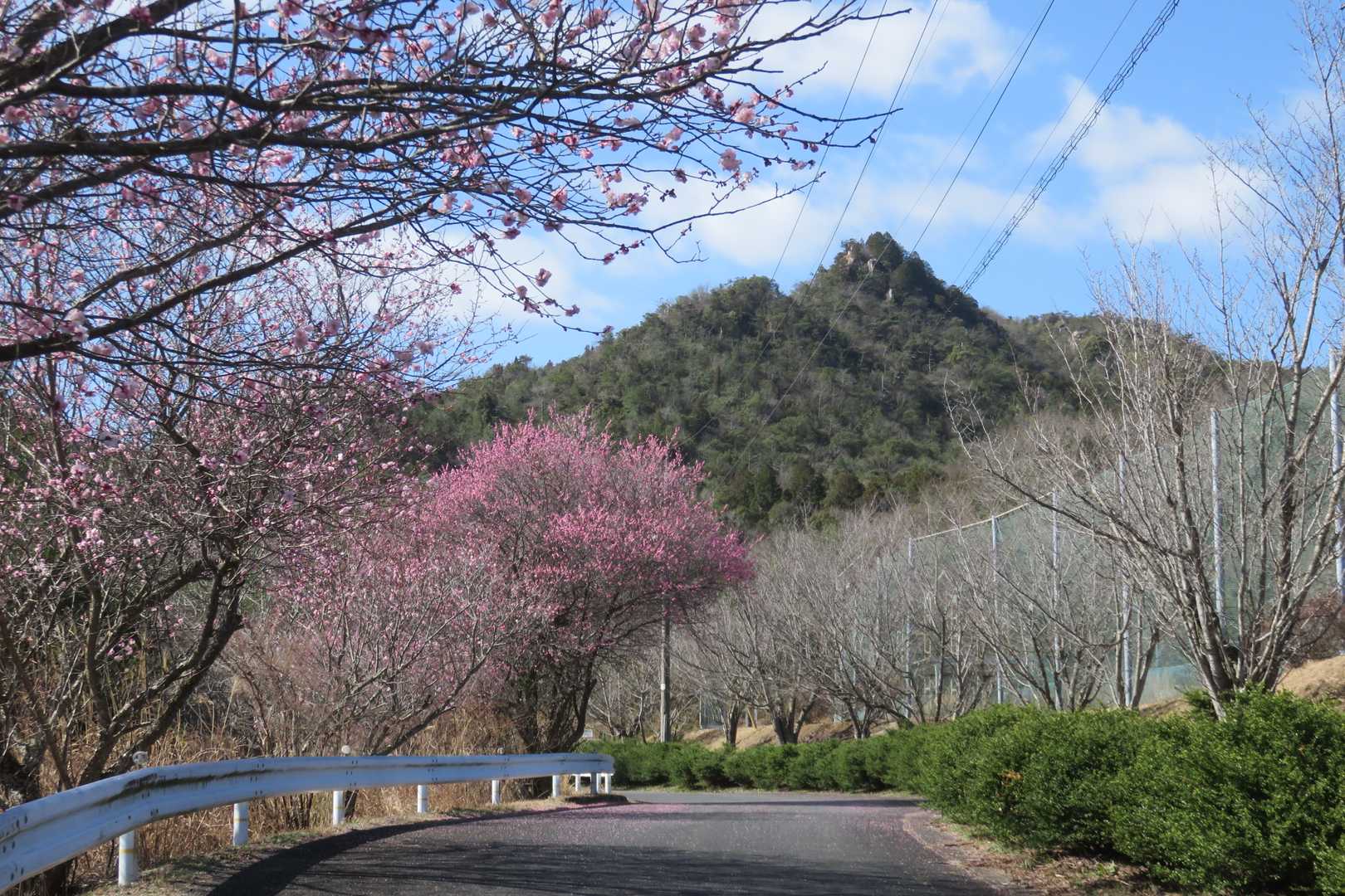 駐車場の歩道を道なりに上がって来ると大岩のピークが見えます