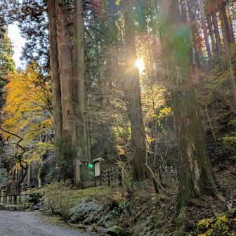 ワタクシ格好が場違いだったようで😊
神社参拝の方々に
その格好で高鈴山いくんですか？とか
うわ～とか
言われましたw
明らかに苦笑してましたが、
Yシャツにネクタイで山の中は変なおじさんですかね🤔
