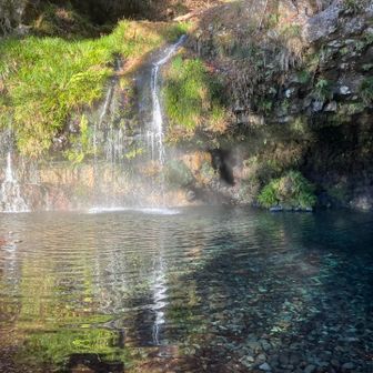 あまり期待してなかっただけにテンションMAX