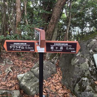 計画ではタワラギ山も行く予定だったけど、
見晴らしもないし
余力もそんなにないので
ここはスルー。