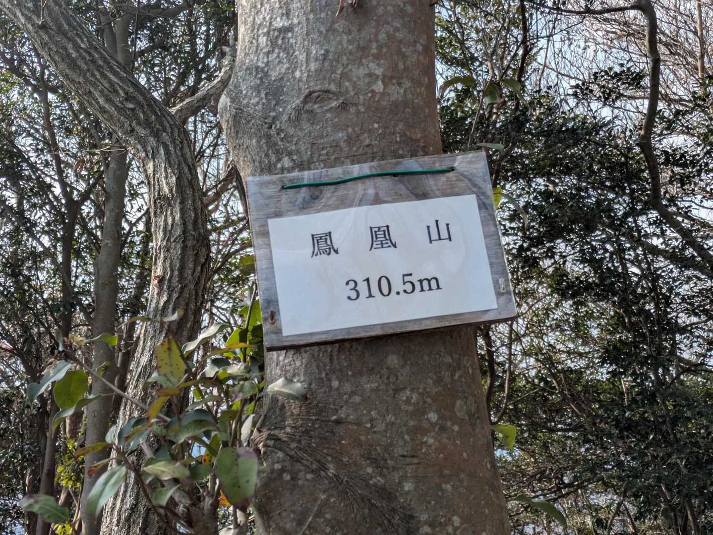 やっとこさ
⑤鳳凰山