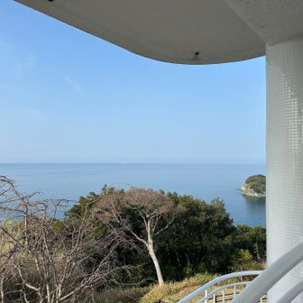 一番上まで上がります