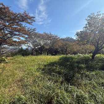 小亀山の山頂かなぁ？