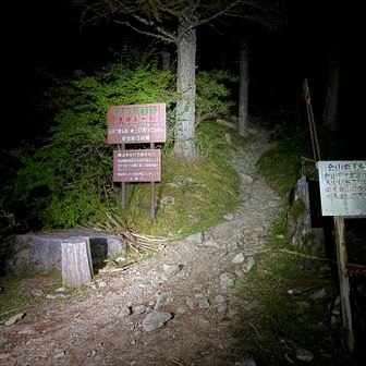 舗装道路を歩いて登山口へ
