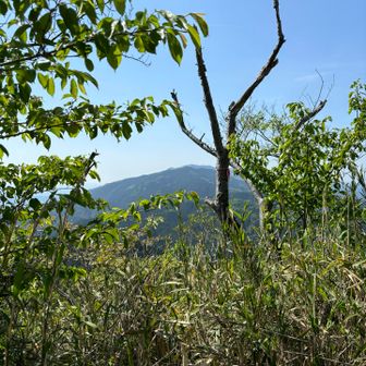 大和葛城山方面