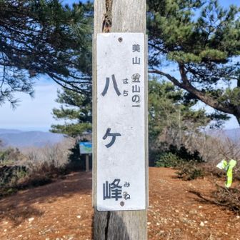 800座目、八ヶ峰は800m🙌
八が三つ揃って、たいへん縁起がよろしい。
さくらさん、いいお山をご紹介いただき感謝です。お陰でこれまでで一番記憶に残るキリ番登山になりました。(今までが残らなさ過ぎた説アリ)