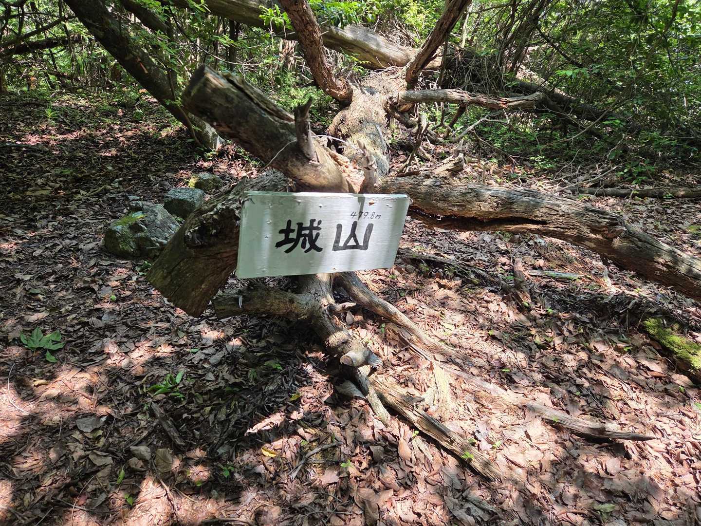 城山登頂　480m