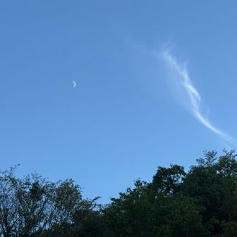 白い月と龍の雲🐉