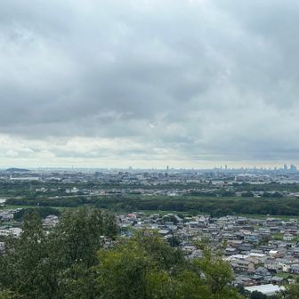名古屋方面と、小牧山。昨日の大河ドラマでも、小牧山城が出てましたね。