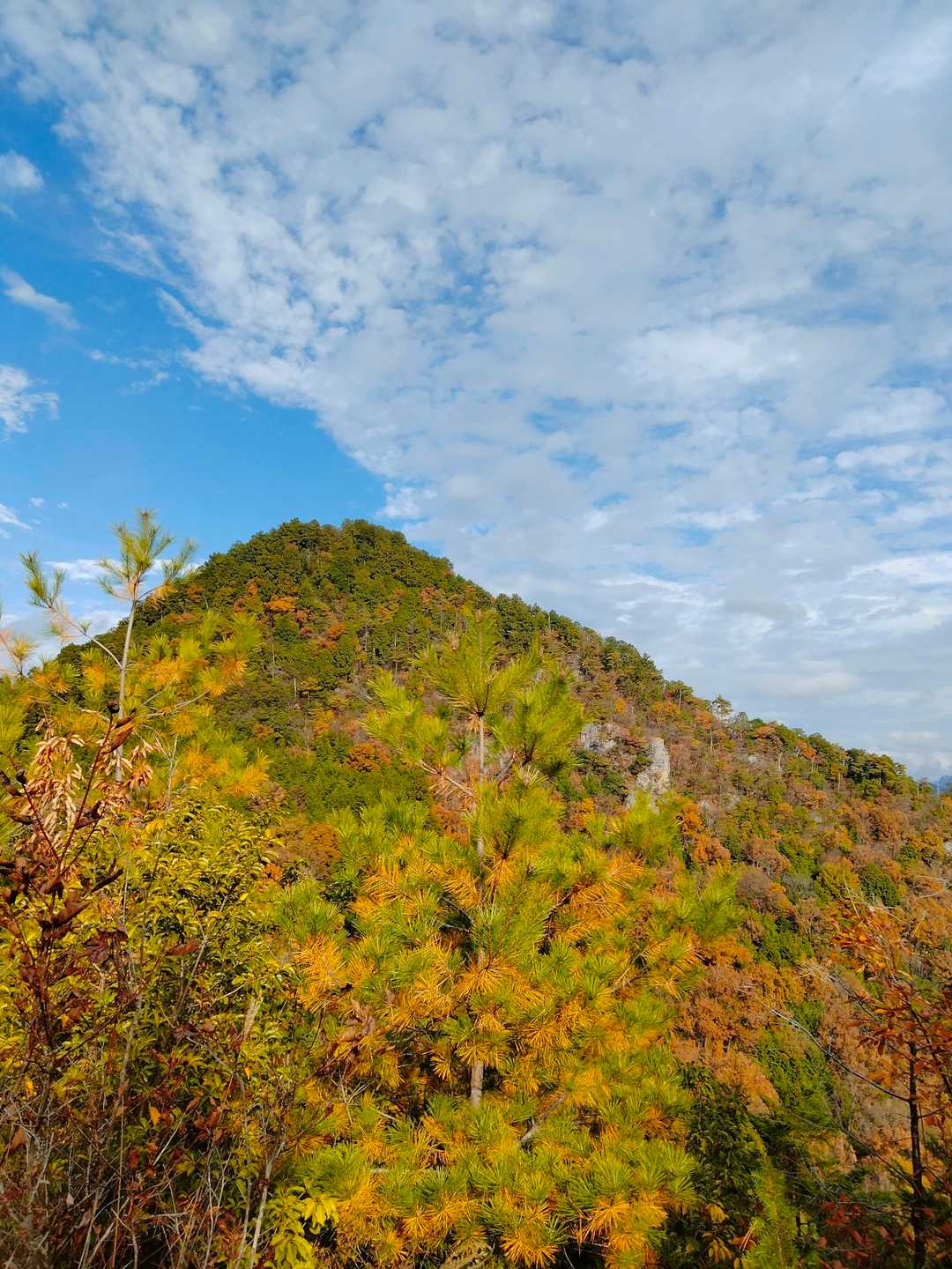 下山途中の松鞍山