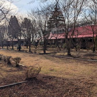 洗心館というキャンプ施設だそうです